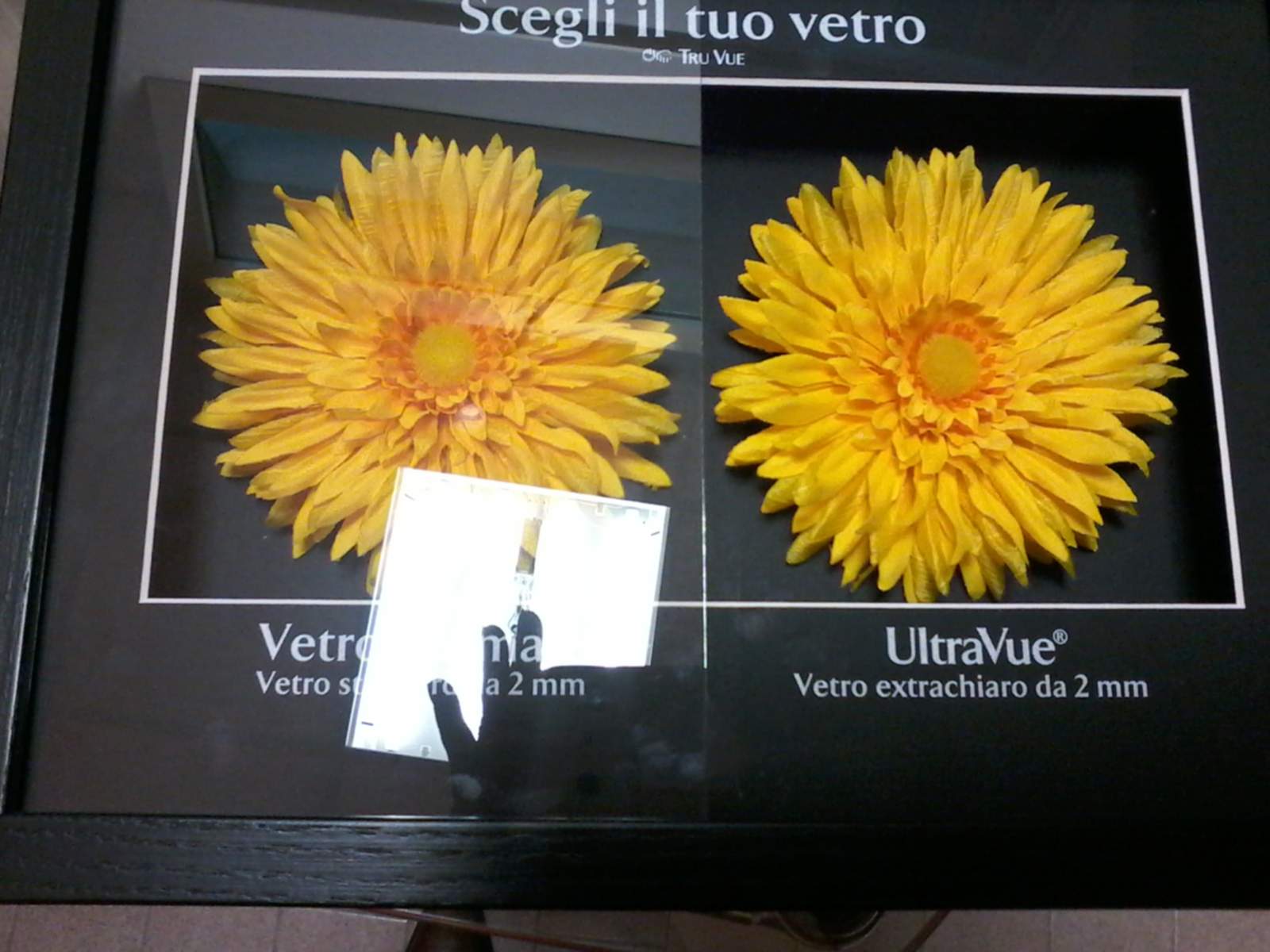 IMG-20161128-WA0004 IMG-20161128-WA0004